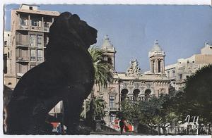 ORAN LE LION DE LA MAIRIE ET LE THEATRE